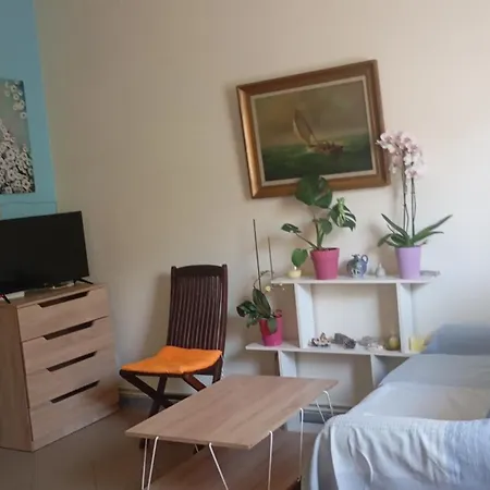 Διαμέρισμα Viorica's Garden House In Alykes
